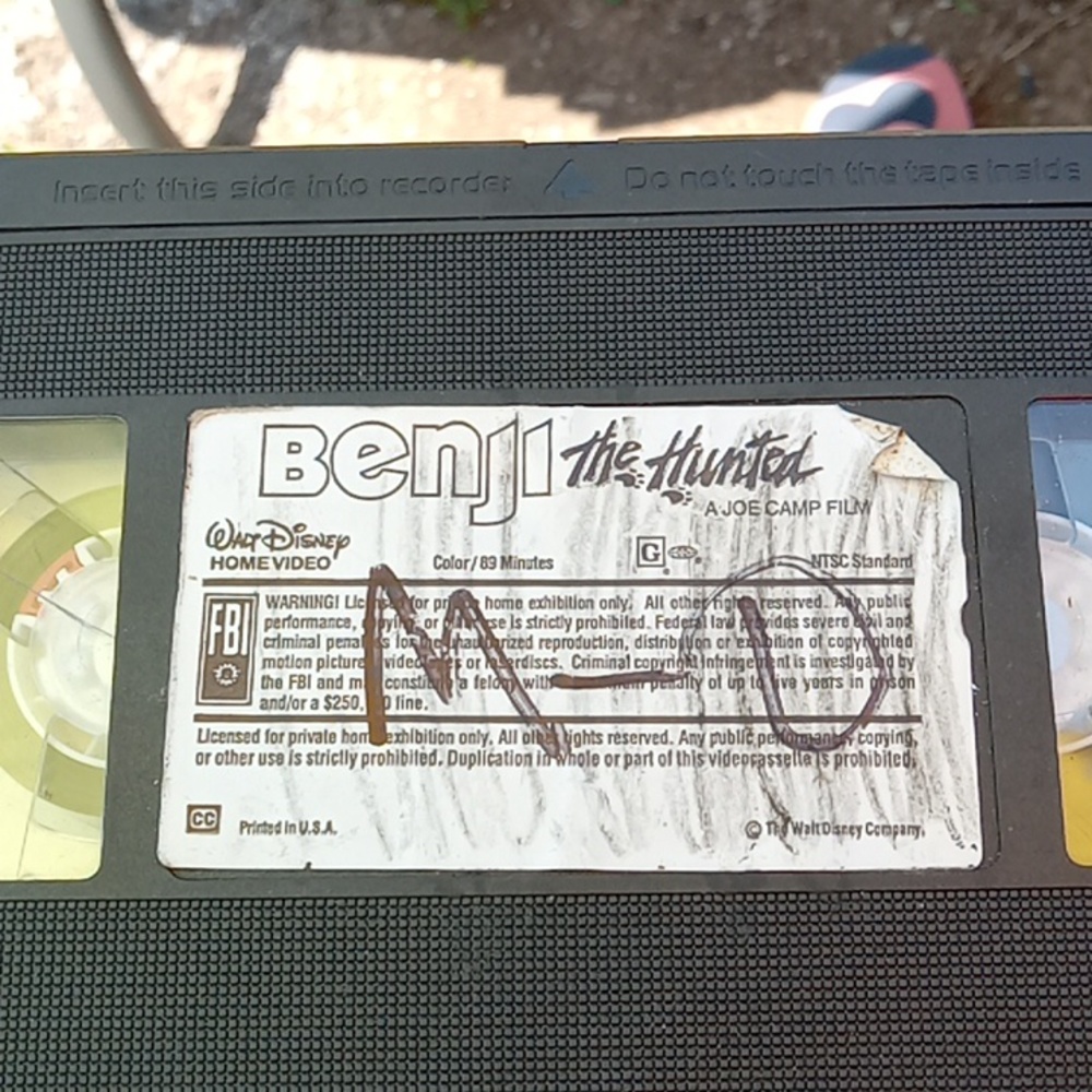 Benji the hunted